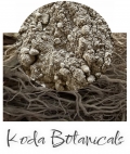 Kava Lateral Roots Powder 140g